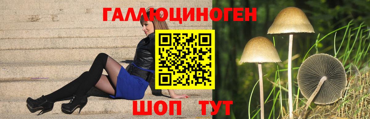 Псилоцибиновые грибы MAGIC MUSHROOMS  дарнет шоп  Бердск  Вход с VPN  Псилоцибиновые грибы мухоморы 